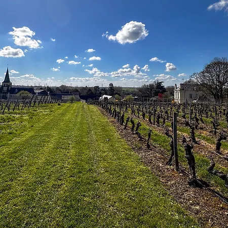Nocleg ze śniadaniem Domaine Beaumont - Vignoble & Vigneronne Distré